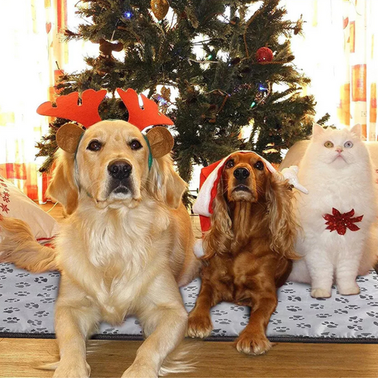 Soft & Heated Pet Blanket