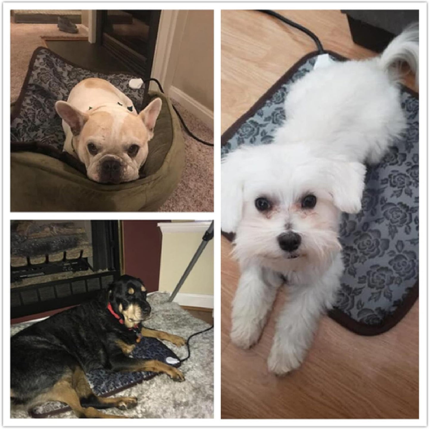 Soft & Heated Pet Blanket
